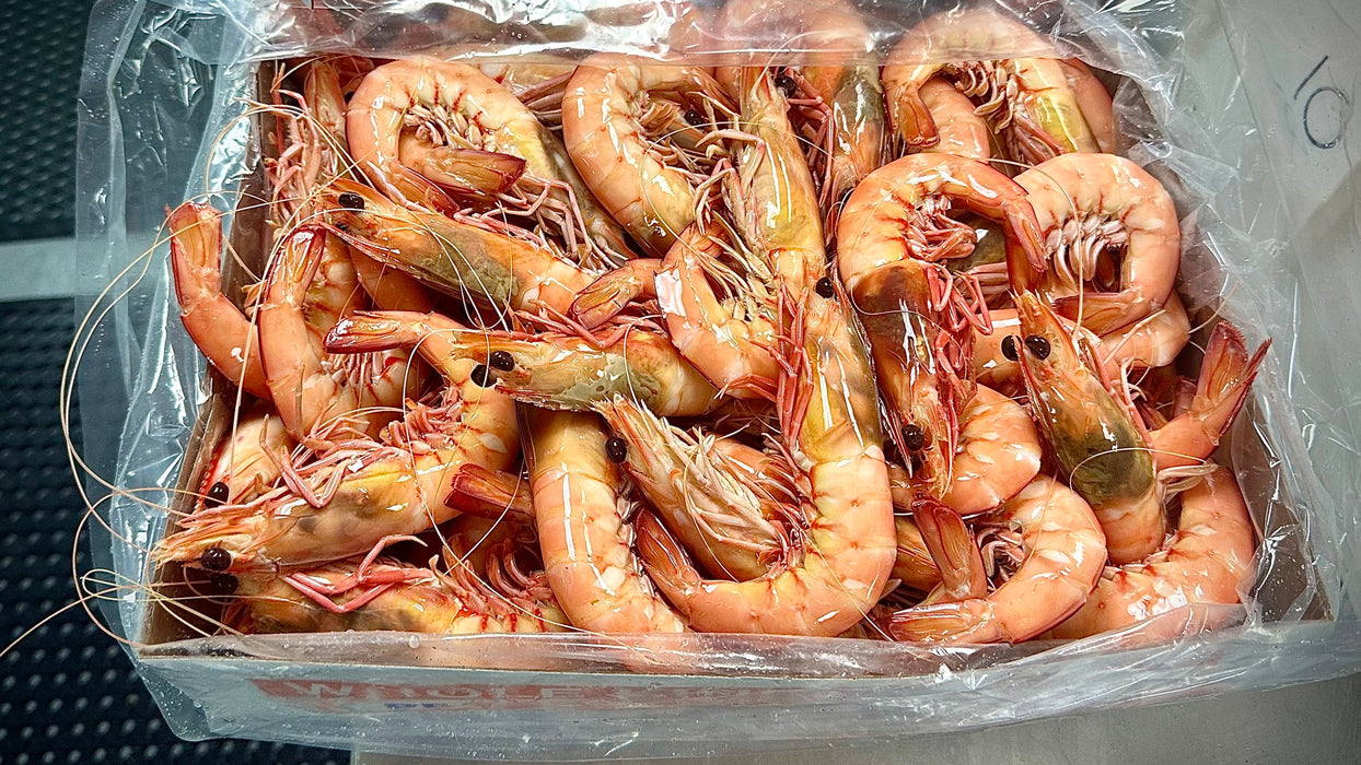 Lukin Prawns |10/15| Cooked (2kg)