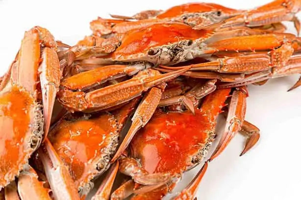 Blue Swimmer Crab Meat Cooked (250g) | Two Gulfs Crab