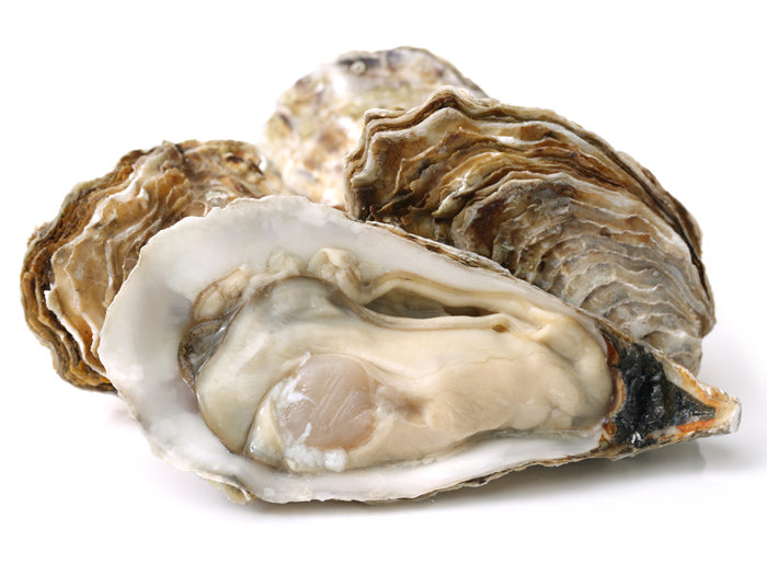 CHRISTMAS ORDER - 4dz Shucked | Plate | 65s